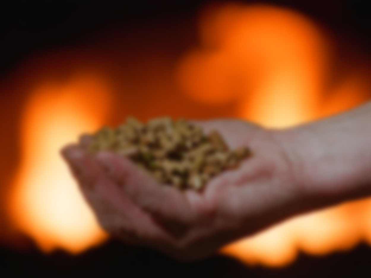 Hack&shy;schnitzel&shy;heizung bei Muster Elektro in Musterstadt