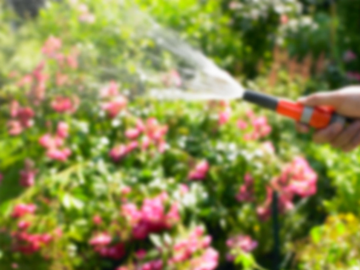 Regen&shy;wasser&shy;nutzung bei Muster Elektro in Musterstadt